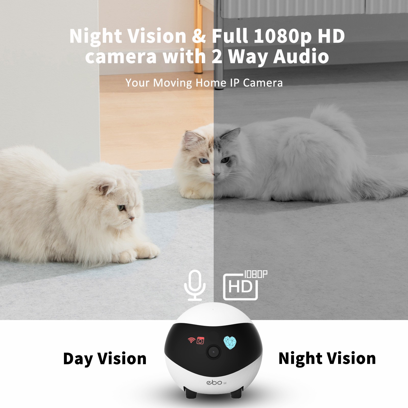 EBO SE Smart Home Robot Compan – Home Security Robots Bewertung und Preis