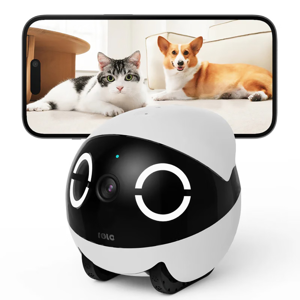 Haustier-Sicherheitsroboter mi – Home Security Robots Bewertung und Preis